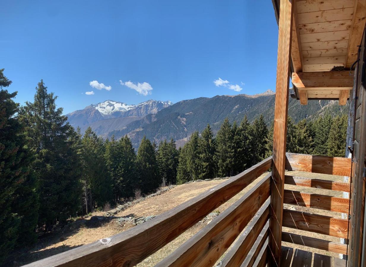 Appartement Chalet Baita Delle Favole Di Rosarita à Berbenno di Valtellina Extérieur photo